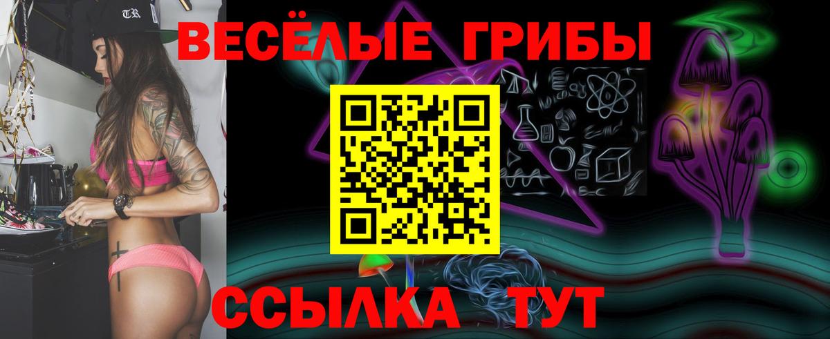 Бийск  Псилоцибиновые грибы Psilocybine cubensis  Галлюциногенные грибы Cubensis  Вход с VPN 
